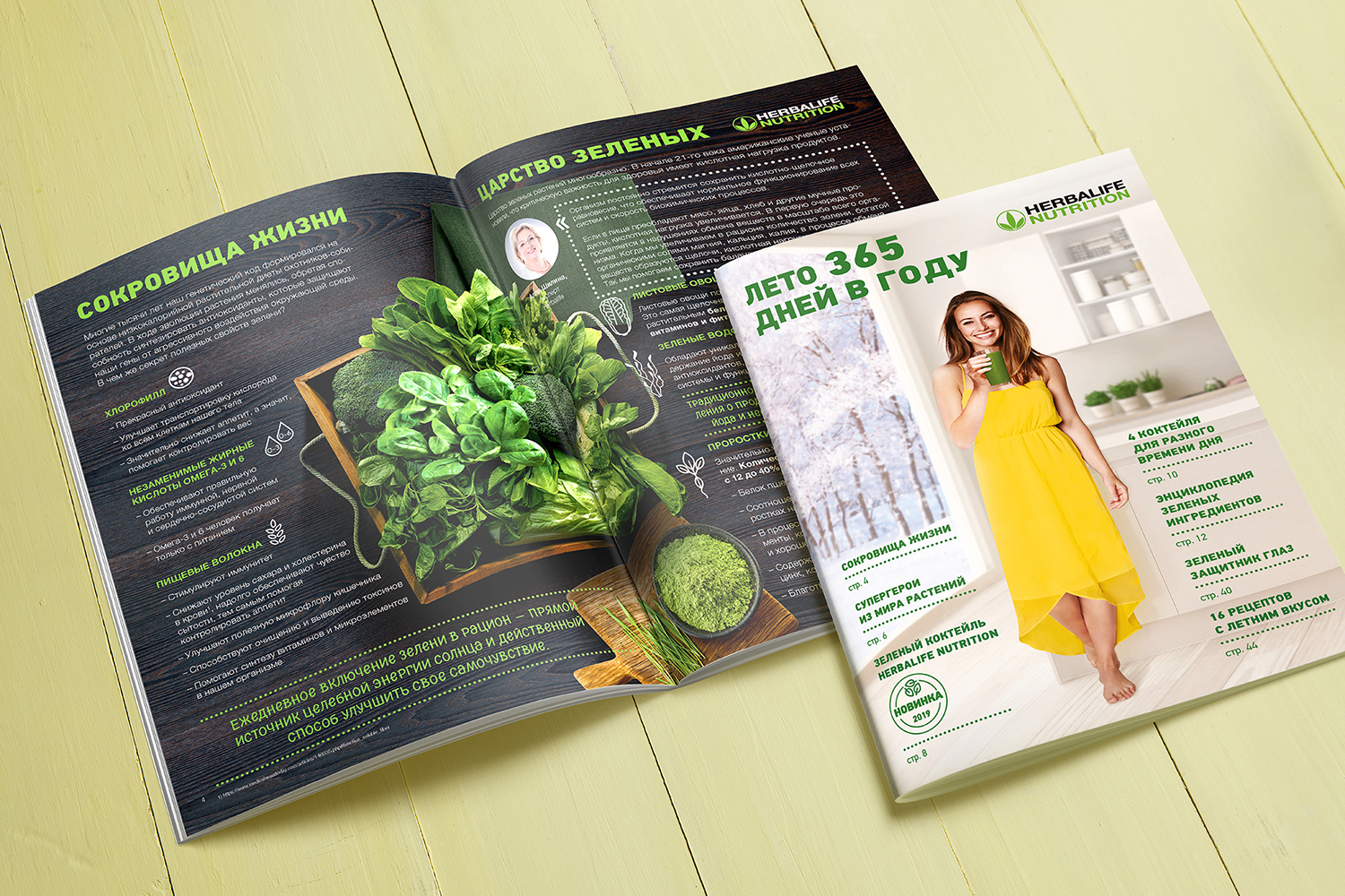 TDI Group, Herbalife, Дизайн брошюры, Печатная реклама