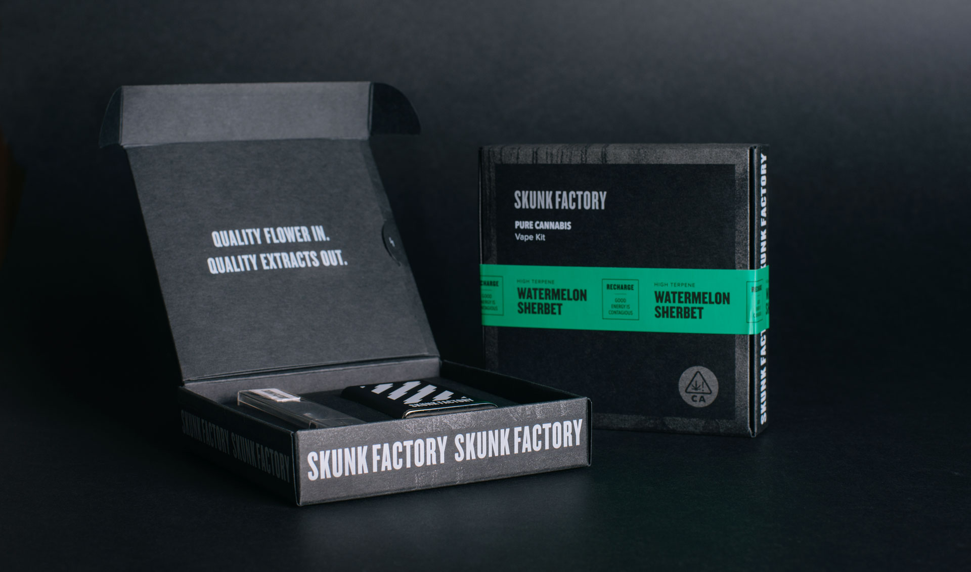 Дизайн упаковки, Вейп, Skunk Factory, Noise 13