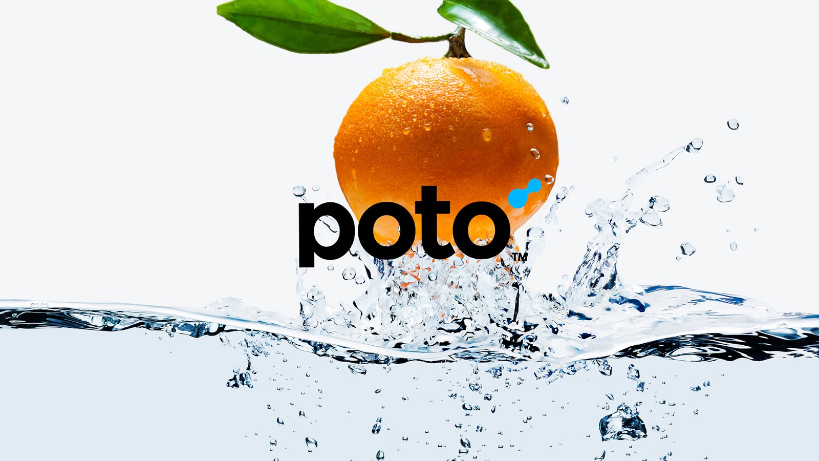 Логотип, Дизайн упаковки, Poto